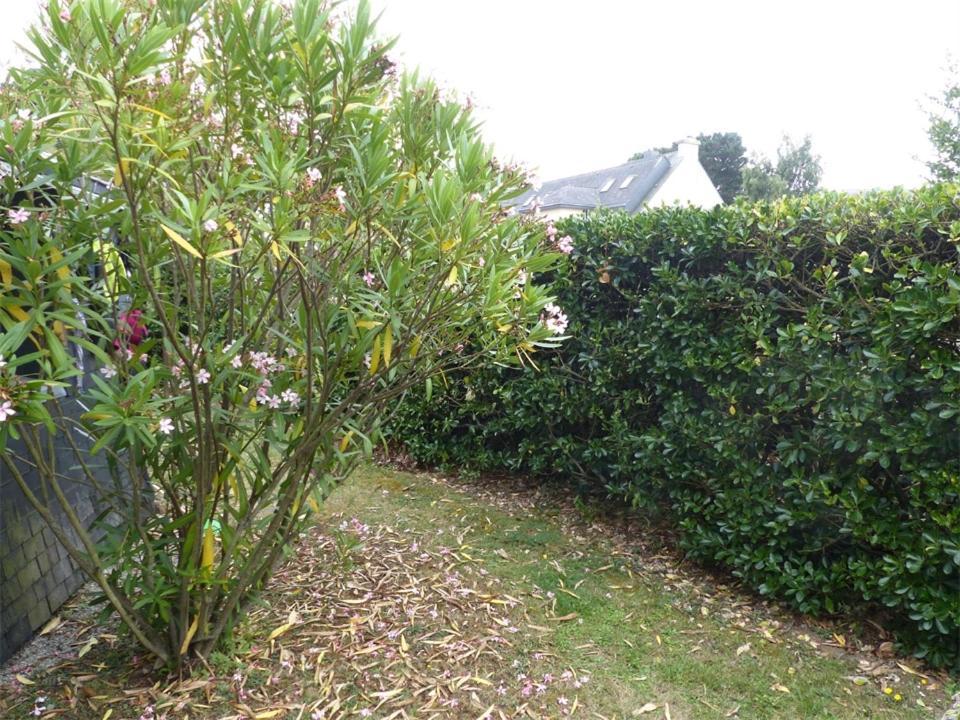 Port An Dro 1 - Wifi, Jardin, Plage 200M - K295 كارناك المظهر الخارجي الصورة